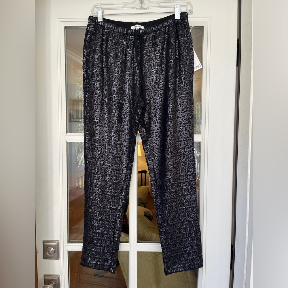 Splendid sequin pants